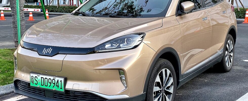 Weltmeister: история и развитие легендарного автобренда