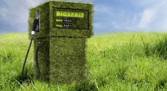 Биодизель: почему топливная революция в автопроме так и не случилась