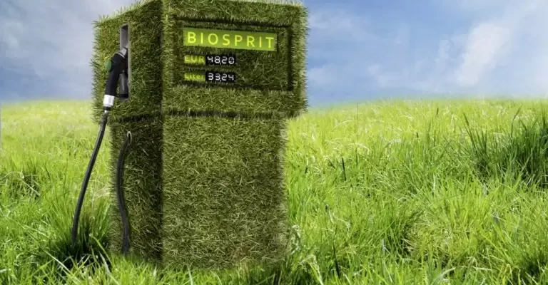 Биодизель: почему топливная революция в автопроме так и не случилась