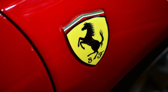 Автомобильная фауна: угадай животное и проверь свои знания