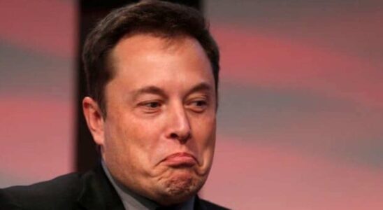 Tesla в России: почему Россия, а не Украина, выбирает Илон Маск для нового завода