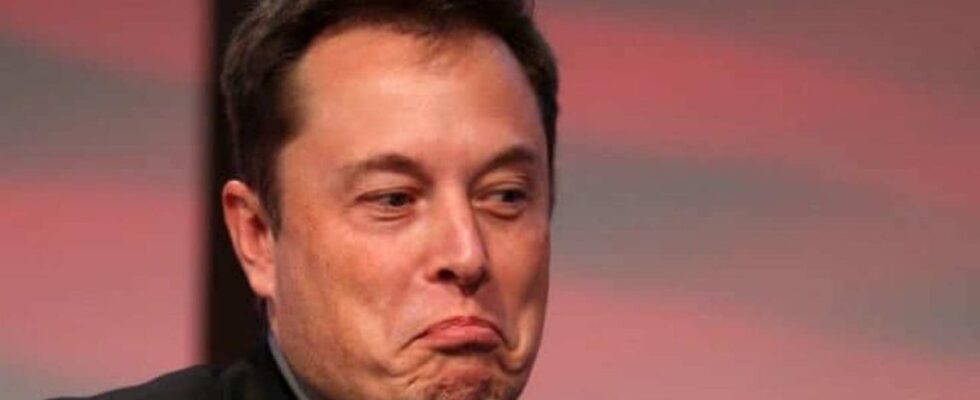 Tesla в России: почему Россия, а не Украина, выбирает Илон Маск для нового завода