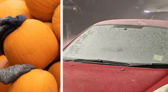 Лайфхак: зачем опытные водители натирают лобовое стекло тыквой на ночь