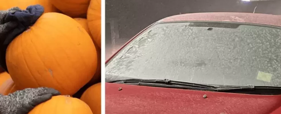 Лайфхак: зачем опытные водители натирают лобовое стекло тыквой на ночь
