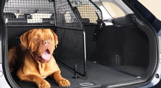 Автомобильные аксессуары: обзор решеток-разделителей для безопасной перевозки животных