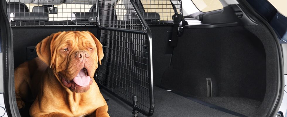 Автомобильные аксессуары: обзор решеток-разделителей для безопасной перевозки животных