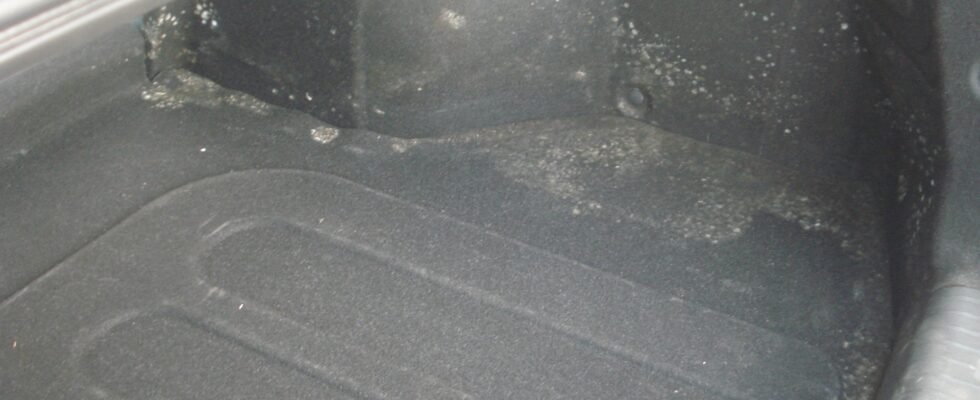 Прощаемся с плесенью в багажнике: полное руководство для автовладельцев