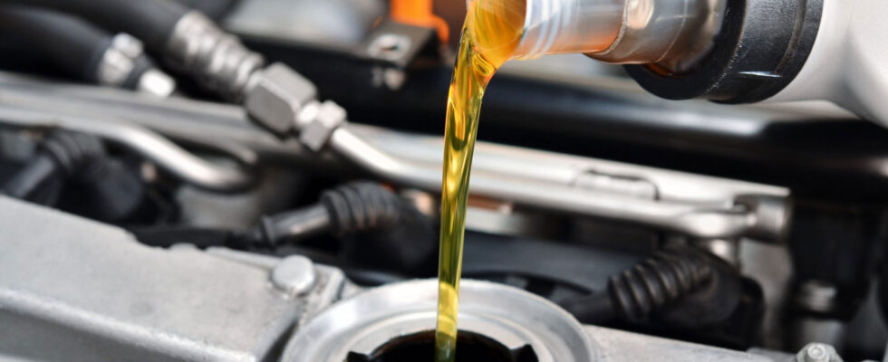 LIQUI MOLY: Всё о моторном масле для вашего автомобиля