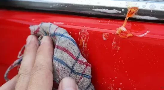 Удаляем смолу с авто: простые и эффективные методы для вашего автомобиля
