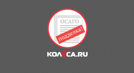 Проверяем полис ОСАГО: как не купить подделку и сэкономить