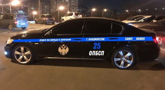 Тюнинг и стайлинг: выбираем лучшие наклейки для вашего авто