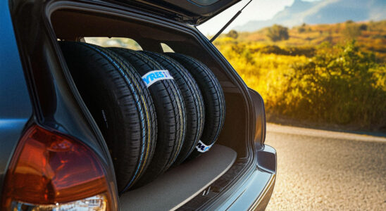 Viatti: Экологичное вождение без компромиссов