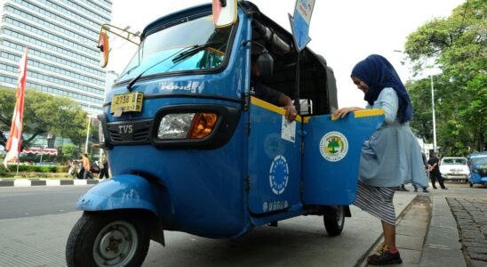 Bajaj: Всё о легендарном бренде, от истории до отзывов покупателей