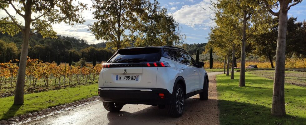 Image for: Peugeot: секреты и лайфхаки владельцев автомобилей со львом на капоте. Tags: peugeot, e-2008, электрический а...