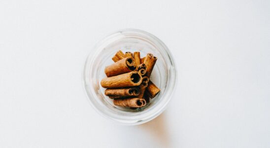 Image for: Улучшаем автопылесос: как повысить мощность и сделать его полезным. Tags: корица, палочку корицы, специи, зап...