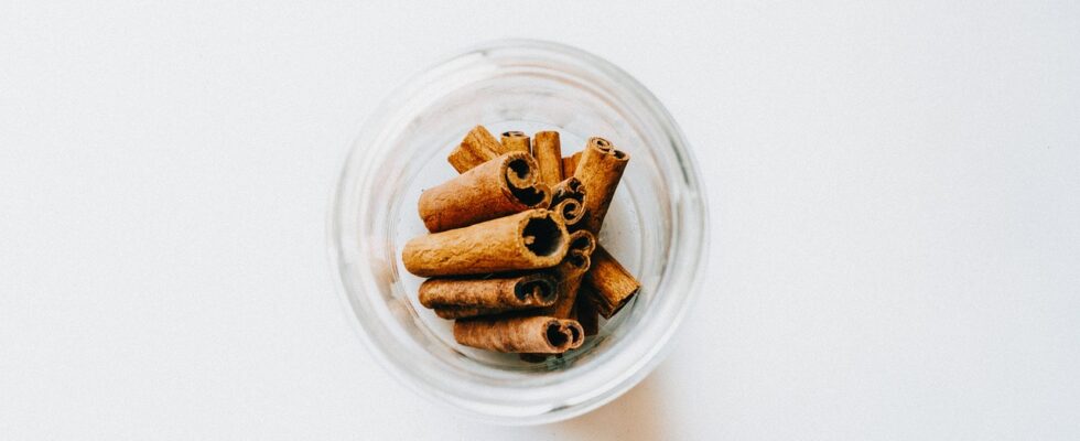 Image for: Улучшаем автопылесос: как повысить мощность и сделать его полезным. Tags: корица, палочку корицы, специи, зап...